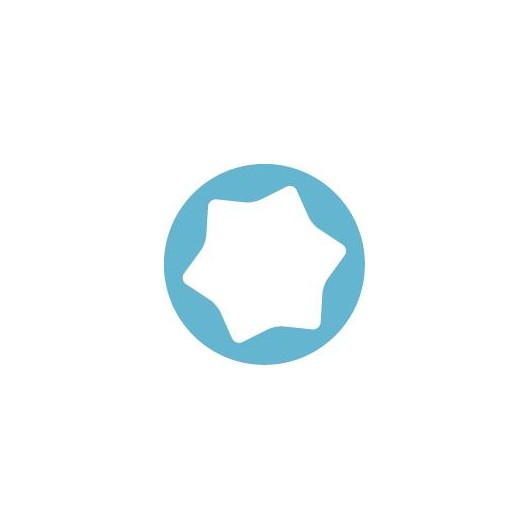 MOB - Tournevis micro TORX t6