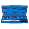 Coffret de clé dynamométrique à embouts interchangeables (4~20 Nm) - 8 pièces