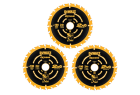 DEWALT - Lot de 3 lames de précision Extreme pour charpente (scie circulaire filaire)