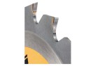 DEWALT - Lame de scie circulaire stationnaire XR Runtime, 216 x 30 mm, 24 dents