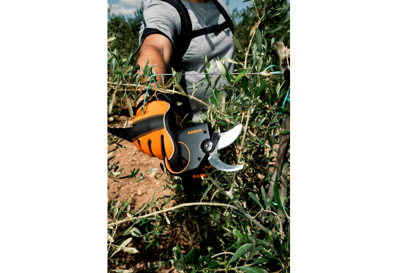 BAHCO BCL24 — Sécateur électrique 45 mm, lame SK5 pour taille intensive