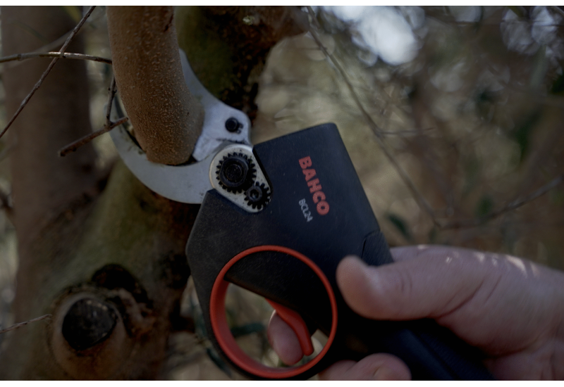 BAHCO BCL24 — Sécateur électrique 45 mm, lame SK5 pour taille intensive