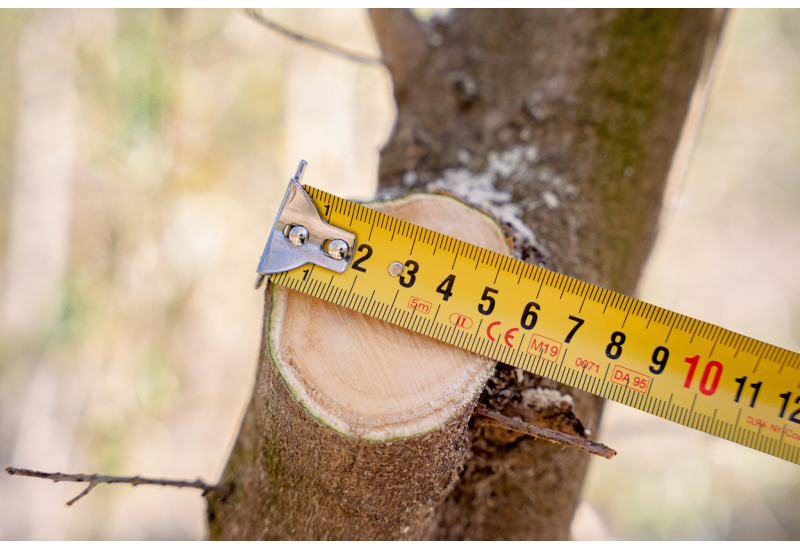 BAHCO BCL15IB : Élagueuse sans fil 110mm Haute Autonomie