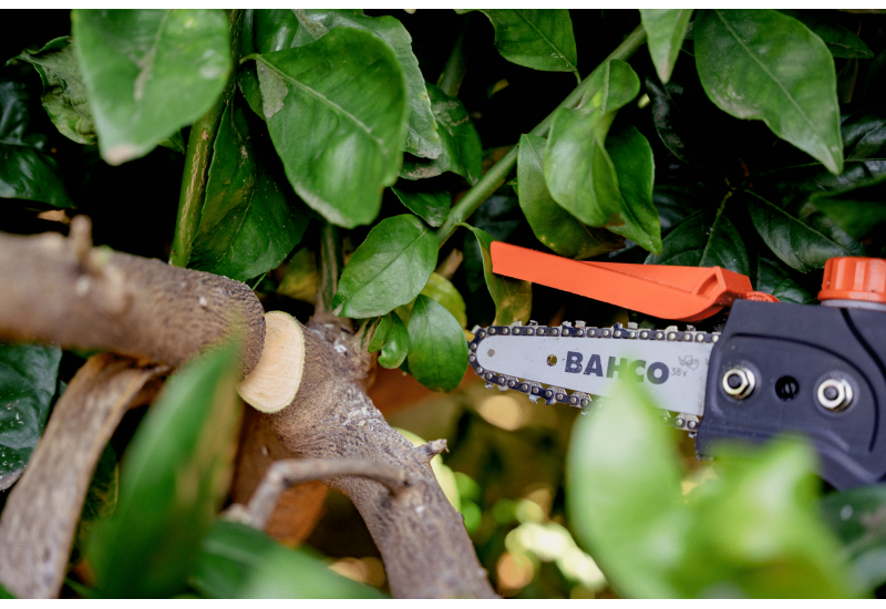 BAHCO BCL15IB : Élagueuse sans fil 110mm Haute Autonomie