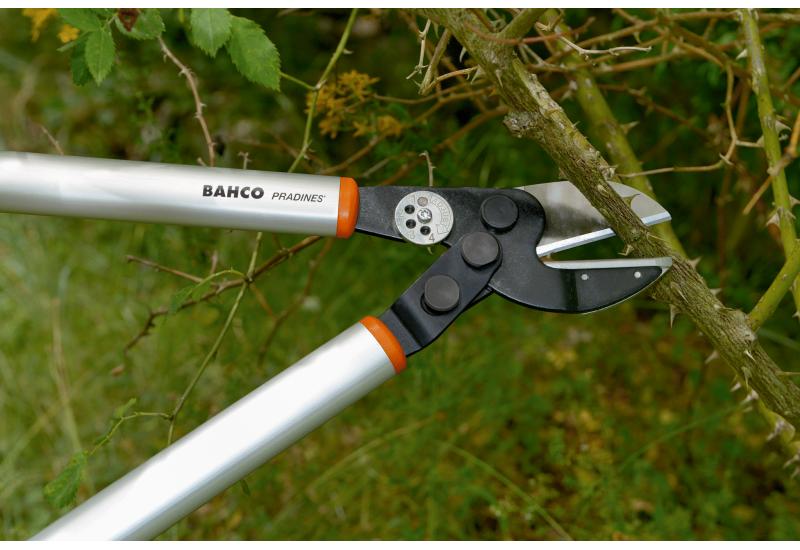 BAHCO - Ébrancheur pro à enclume avec action de levier et poignée en aluminium, 850 mm