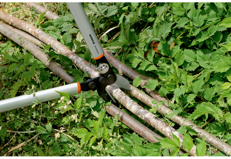 BAHCO - Ébrancheur pro à enclume avec action de levier et poignée en aluminium, 850 mm