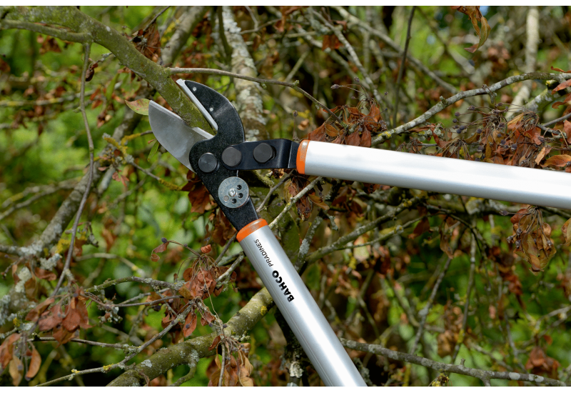 BAHCO - Ébrancheur pro à enclume avec action de levier et poignée en aluminium, 850 mm