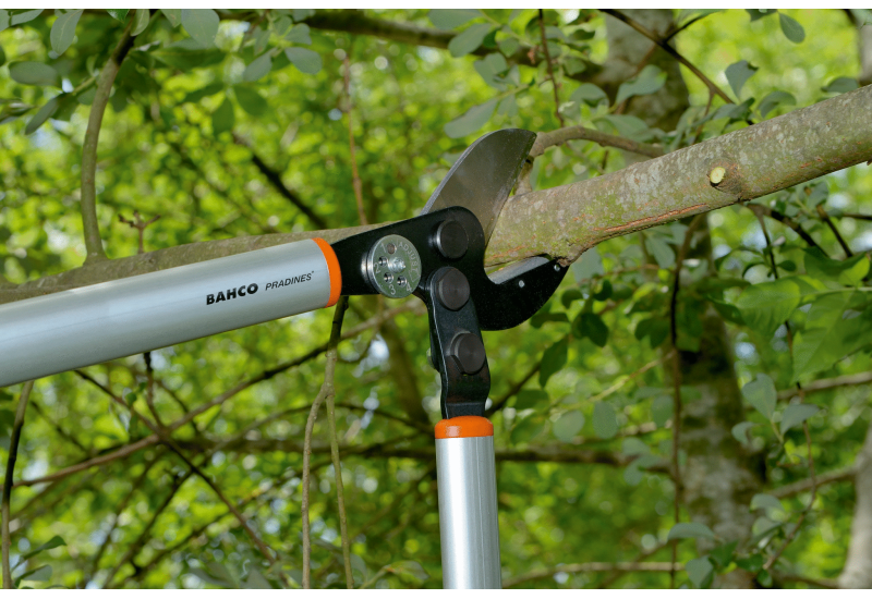 BAHCO - Ébrancheur pro à enclume avec action de levier et poignée en aluminium, 850 mm