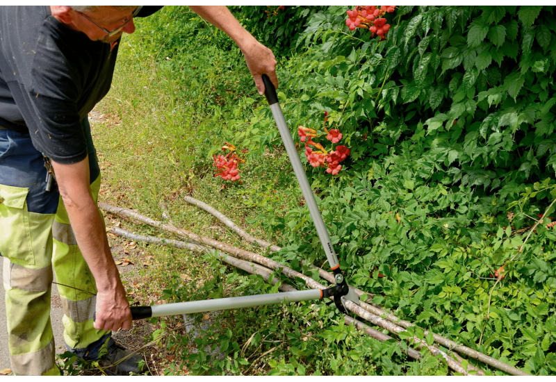 BAHCO - Ébrancheur pro à enclume avec action de levier et poignée en aluminium, 850 mm
