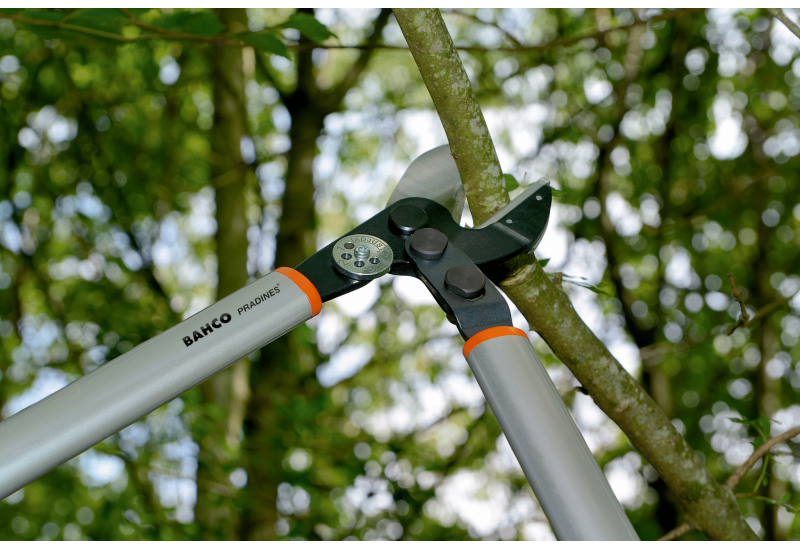 BAHCO - Ébrancheur pro à enclume avec action de levier et poignée en aluminium, 850 mm