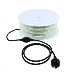 Ruban LED professionnel Wilmart de 50 mètres, étanche IP65, lumière froide 6000K pour éclairage de chantier.