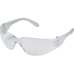 Lunettes de protection incolores anti-buée BRAVA2 CLEAR AB Delta Plus vue de face